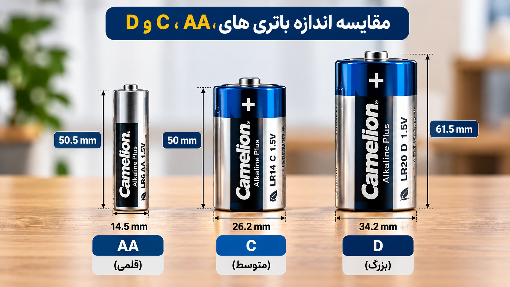 مقایسه ابعاد باتری قلمی AA، باتری متوسط C و باتری بزرگ D کملیون همراه با اندازه ارتفاع و قطر هر باتری بر حسب میلیمتر.